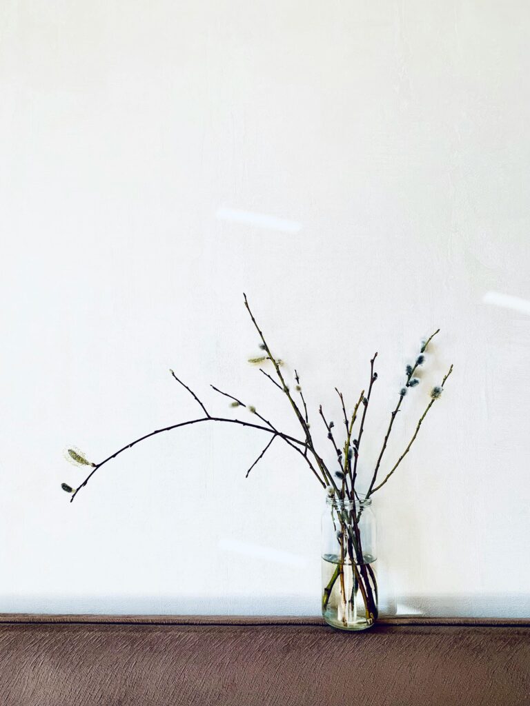 Simple minimalist decor featuring twigs in a glass vase against a plain wall.