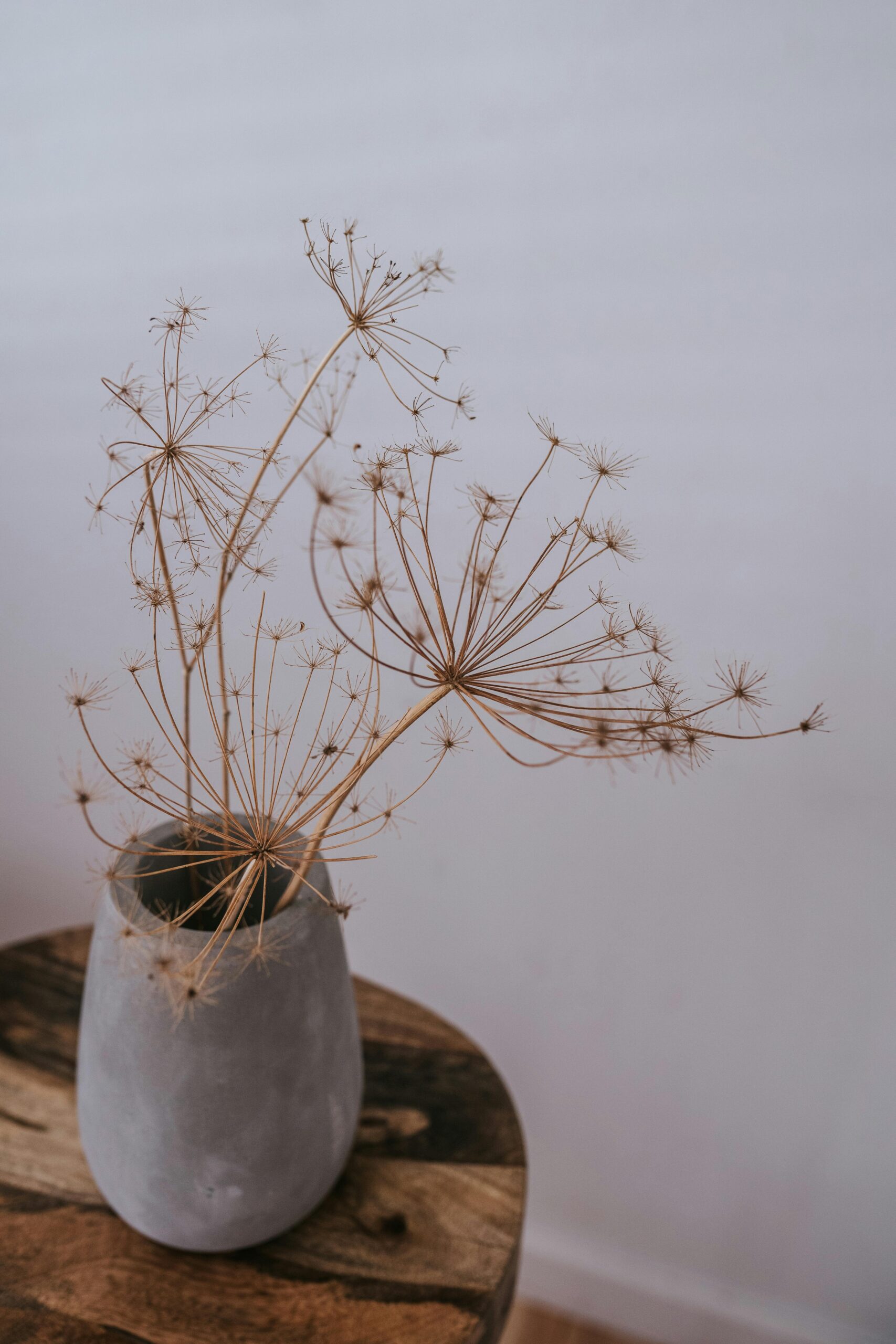 Aesthetic still life of dried flowers in a simple clay vase on wooden table.